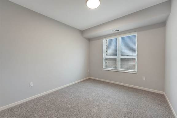 Bedroom with Plush Carpeting