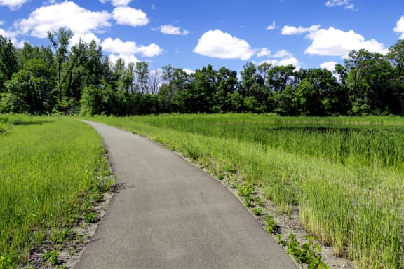 Walking Trail At The Community