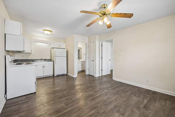 Spacious Living Area With Wood-Style Flooring
