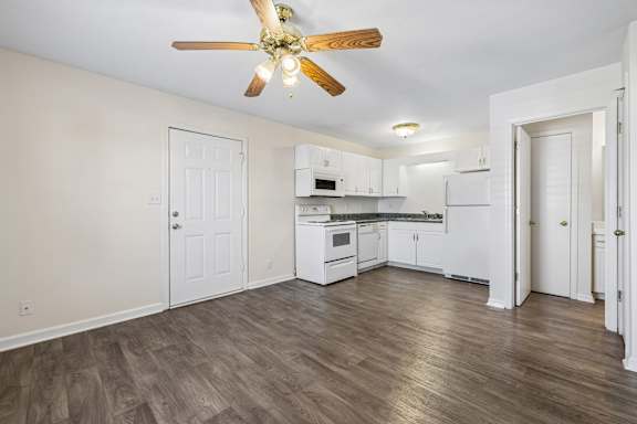 Spacious Living Area With Wood-Style Flooring