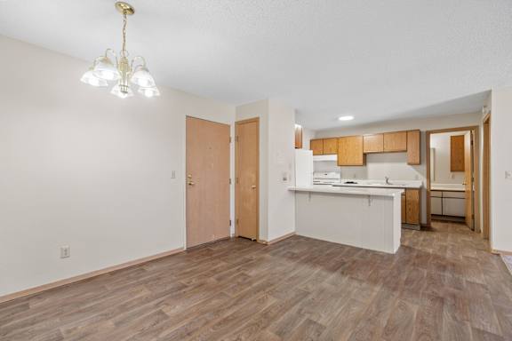 Spacious Living Area With Wood-Style Flooring