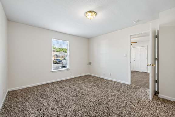 Bedroom with Plush Carpeting