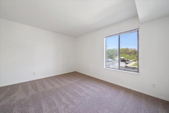 Bedroom with Abundant Natural Light