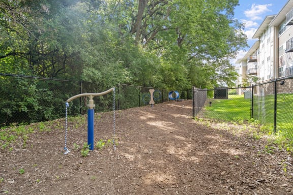 Dog Park