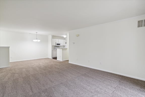 Spacious Living Area with Carpet
