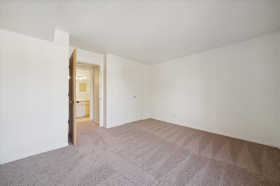 Bedroom with Plush Carpeting