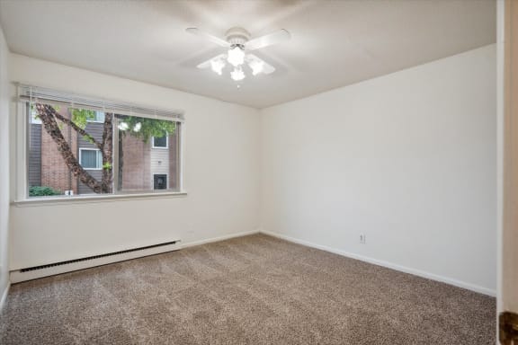 Bedroom with Plush Carpeting