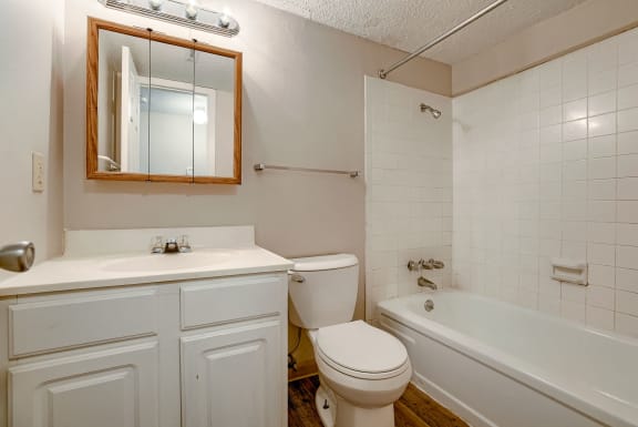 Bathroom with Modern Finishes