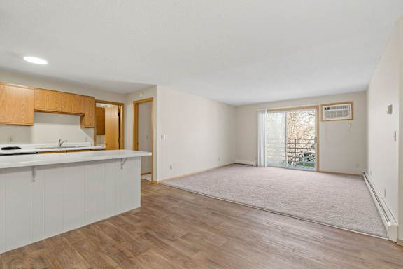 Spacious Living Area with Carpet
