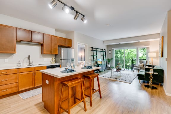 Open Concept Living Room & Kitchen