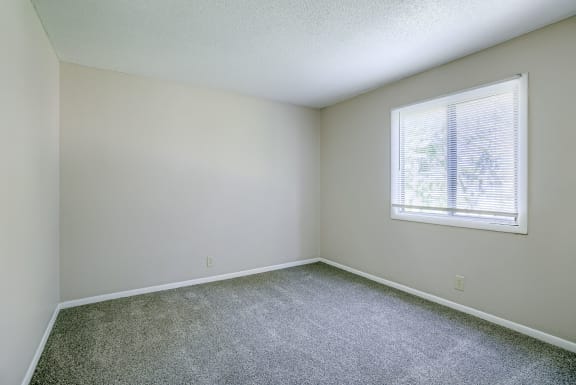 Bedroom with Plush Carpeting