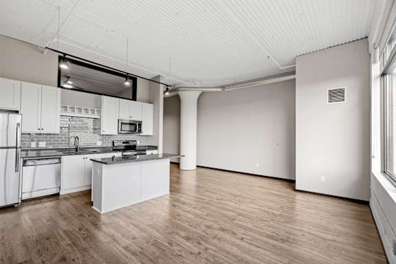 Spacious Living Area With Wood-Style Flooring