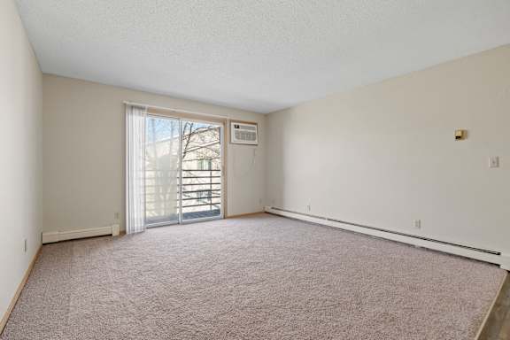 Living Room with Plush Carpeting