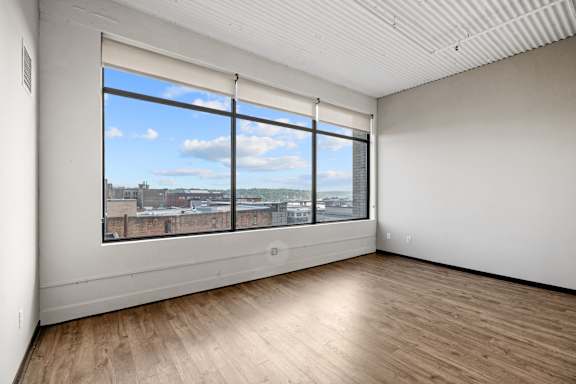 Spacious Living Area With Wood-Style Flooring