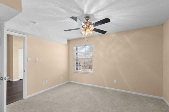 Bedroom with Plush Carpeting