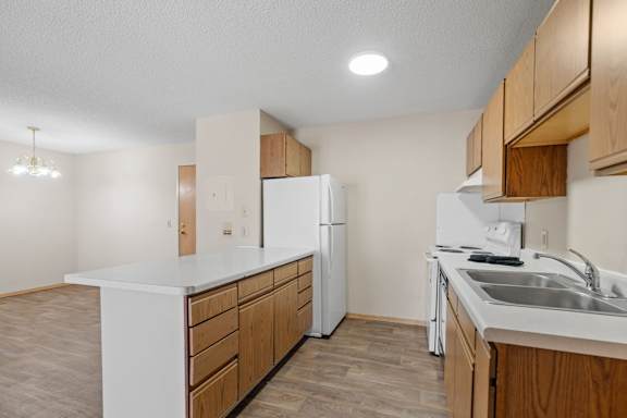 Kitchen with Wood Cabinets