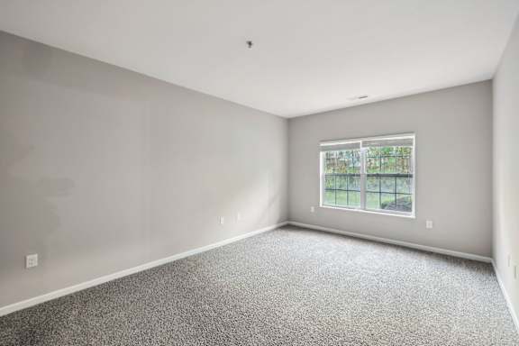 Bedroom with Abundant Natural Light
