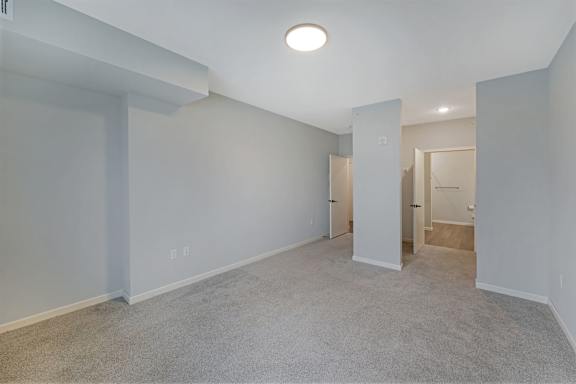 Bedroom with Plush Carpeting