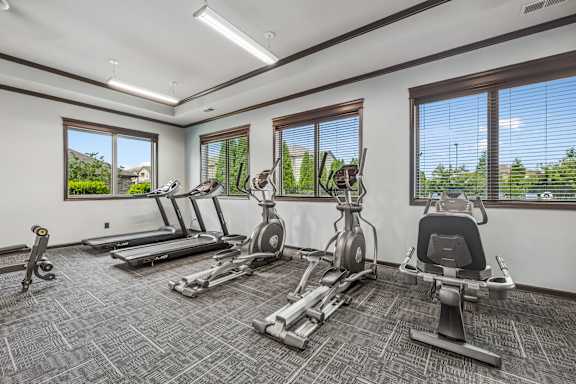 A home gym with treadmills, elliptical machines, and a stationary bike.