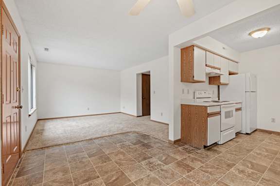 Spacious Living Area with Carpet