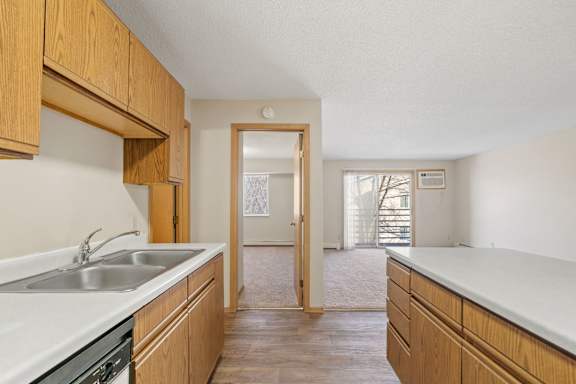 Kitchen with Wood Cabinets
