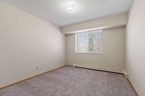 Bedroom with Plush Carpeting