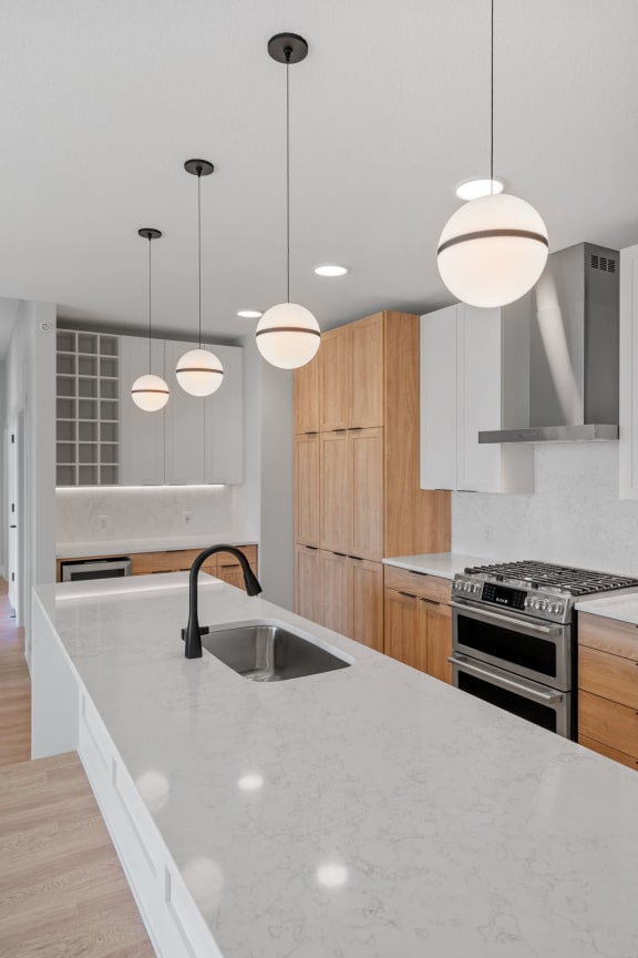 Kitchen with Premium Fixtures and Finishes