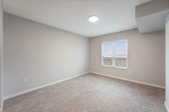 Bedroom with Plush Carpeting