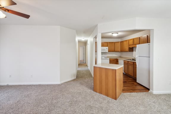 Living Area with Plush Carpeting