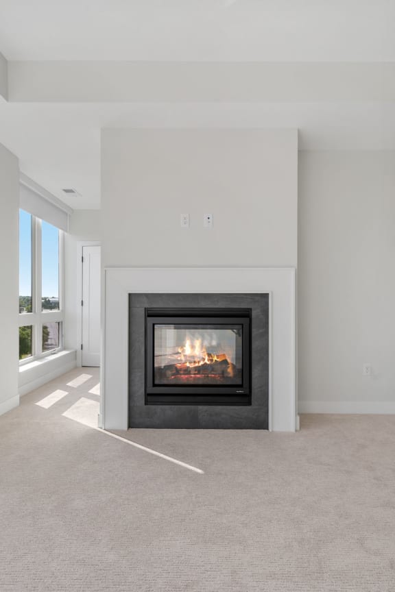 Bedroom with Fireplace