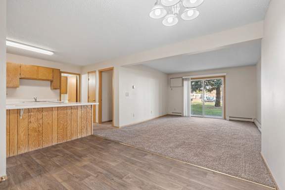 Spacious Living Area With Wood-Style Flooring
