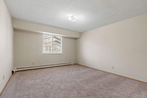 Living Room with Plush Carpeting