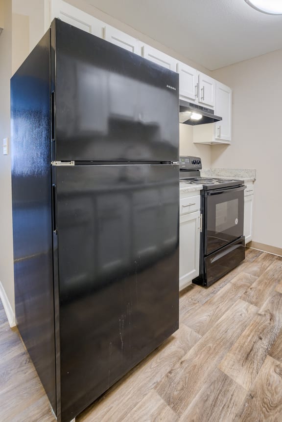 Renovated Kitchen