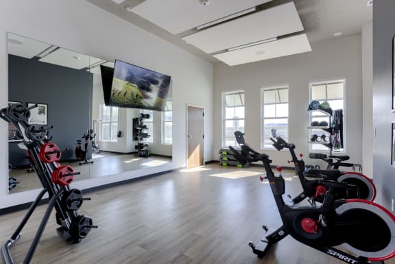 24/7 Gym With Strength and Cardio Equipment