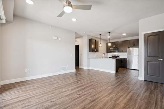 Spacious Living Area With Wood-Style Flooring