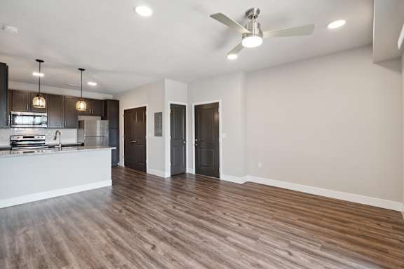 Spacious Living Area With Wood-Style Flooring