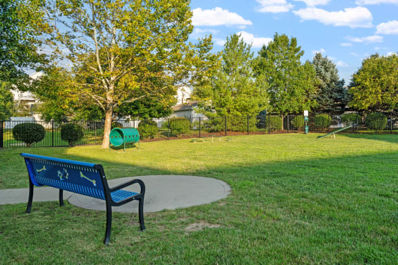 Dog Park
