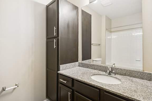 Bathroom with Modern Finishes