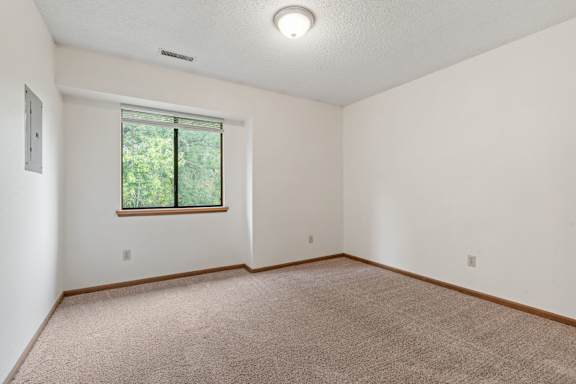 Spacious Living Area with Carpet