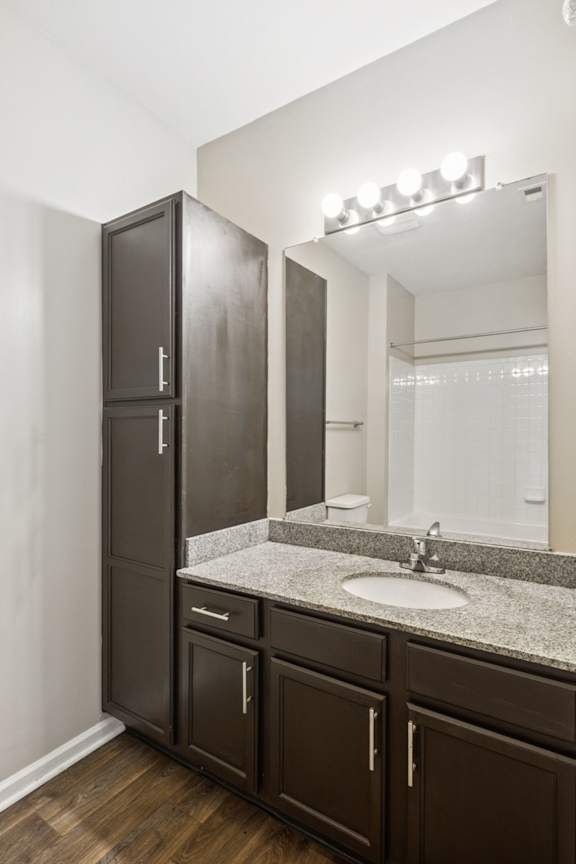 Bathroom with Modern Finishes