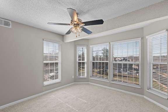 Living Room with Abundant Natural Lighting