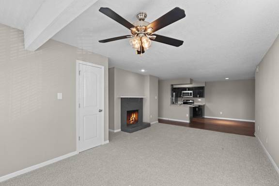 Living Room with Fireplace