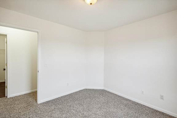 Bedroom with Plush Carpeting