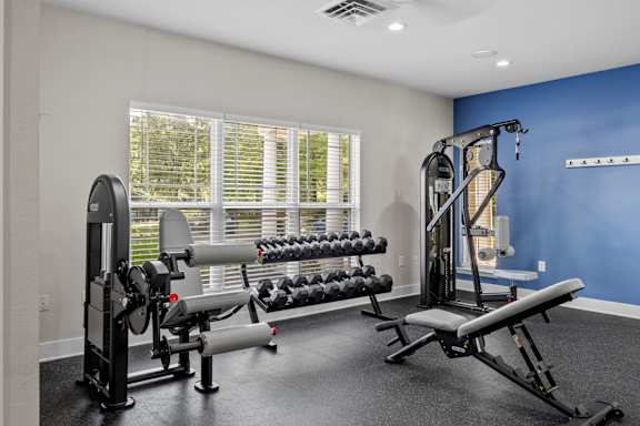 A well-equipped home gym with a variety of exercise machines.