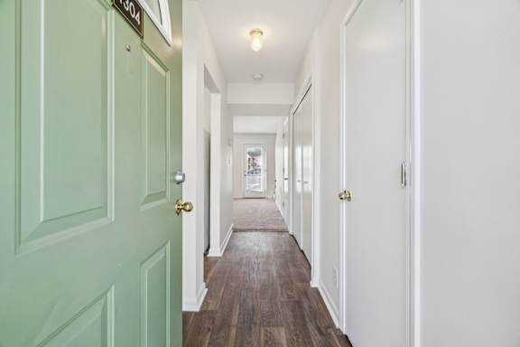 Entryway with Wood-Style Flooring