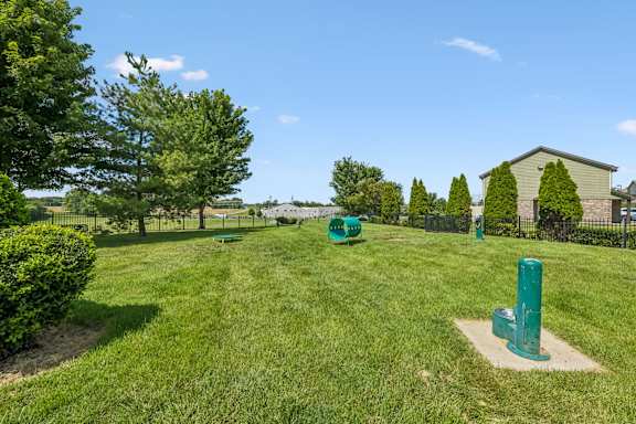 A green lawn with a few trees and a fence in the background.