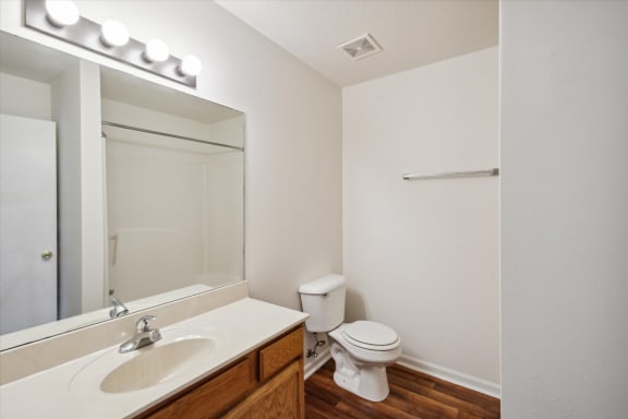 Bathroom With Wood-Style Flooring