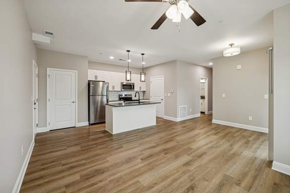 Spacious Living Area With Wood-Style Flooring