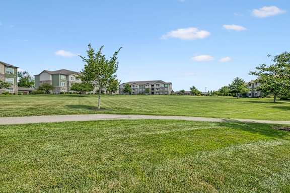 A grassy field with a tree and apartment buildings in the background.