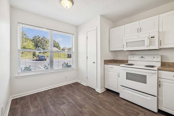 Kitchen with Wood-Style Flooring